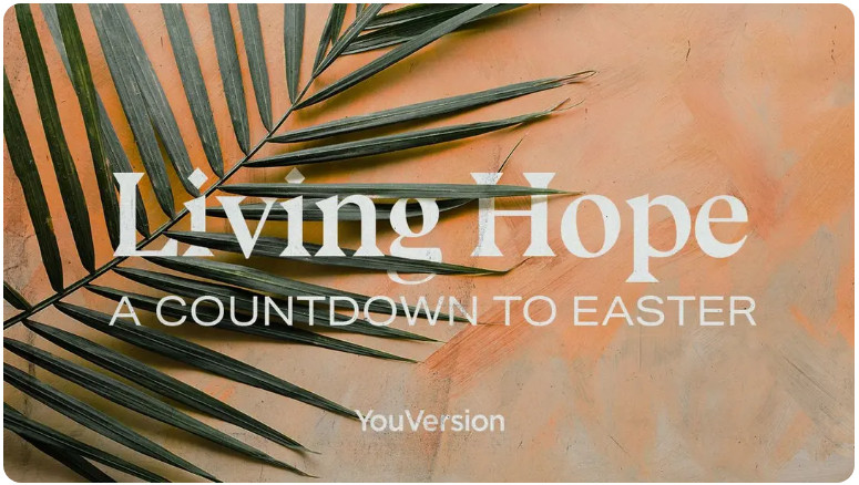 Bible Study Link